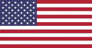 american flag-Southfield